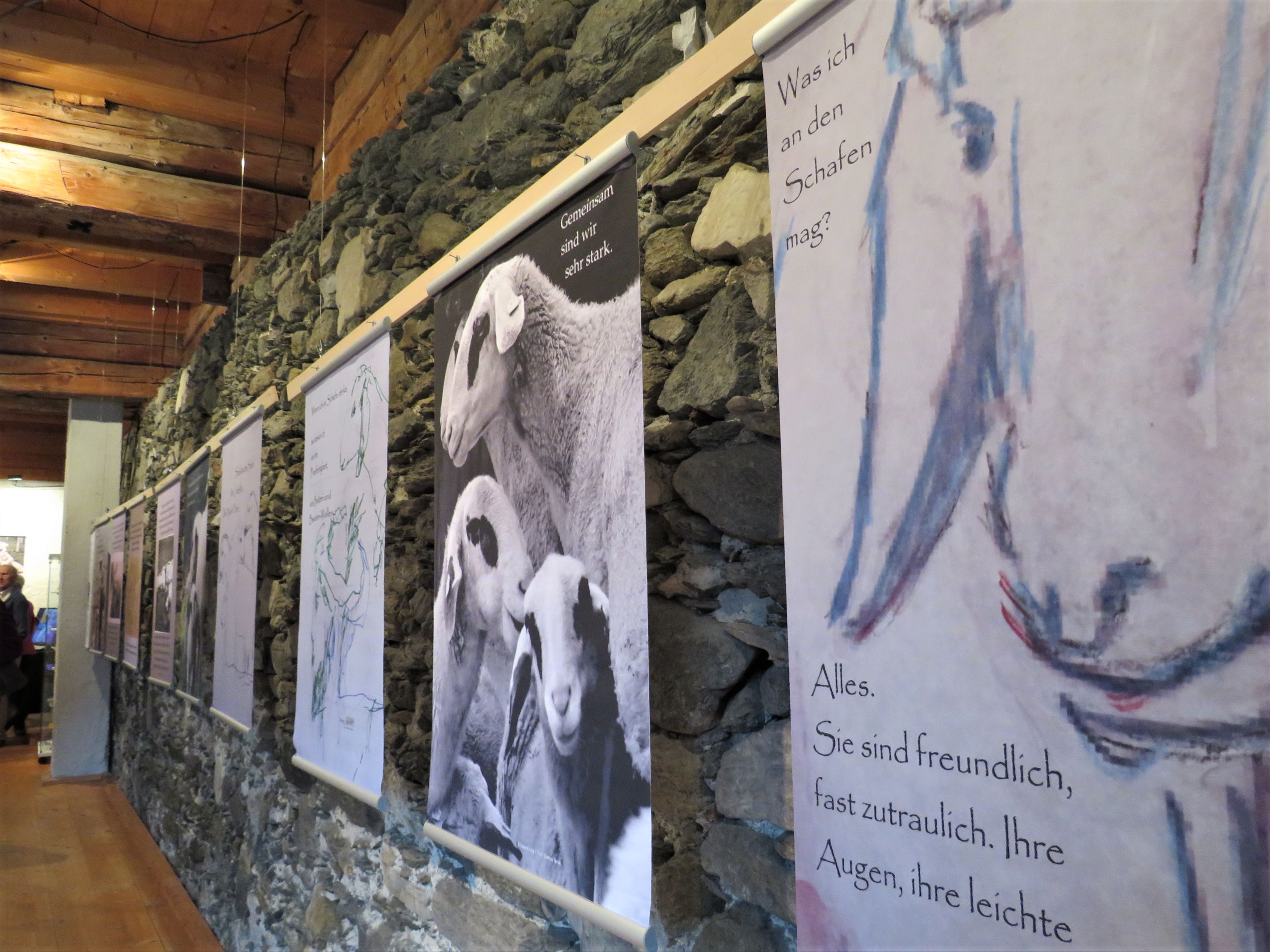 Schaf Ausstellung